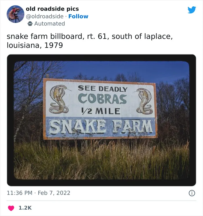There’s A Twitter Bot That Shares Vintage American Roadside Pics Dated ’60s–’00s, And So Here Are 30 Of The Most Interesting Ones