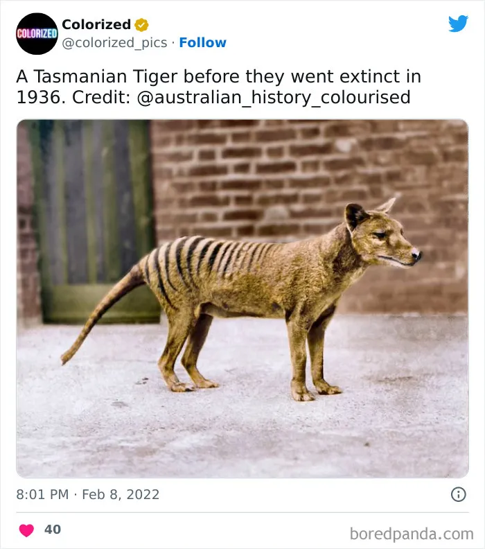 40 Stunning Colorized Historical Photos That Offer A New Perspective On History, As Shared On This Twitter Page