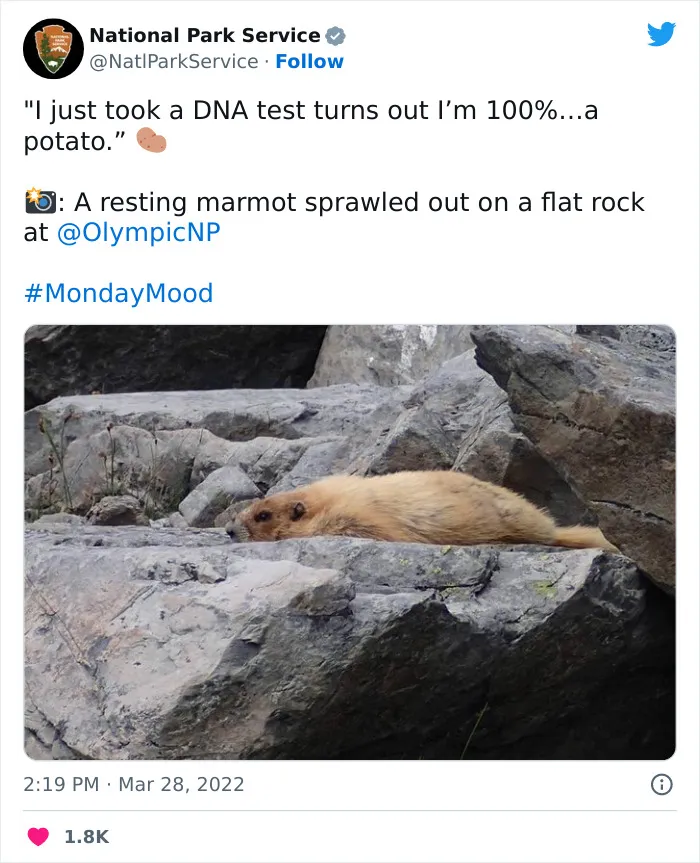 National Park Service Hired The Perfect Social Media Person As Their Tweets Are Hilarious So Here Are 34 Of The Best Ones