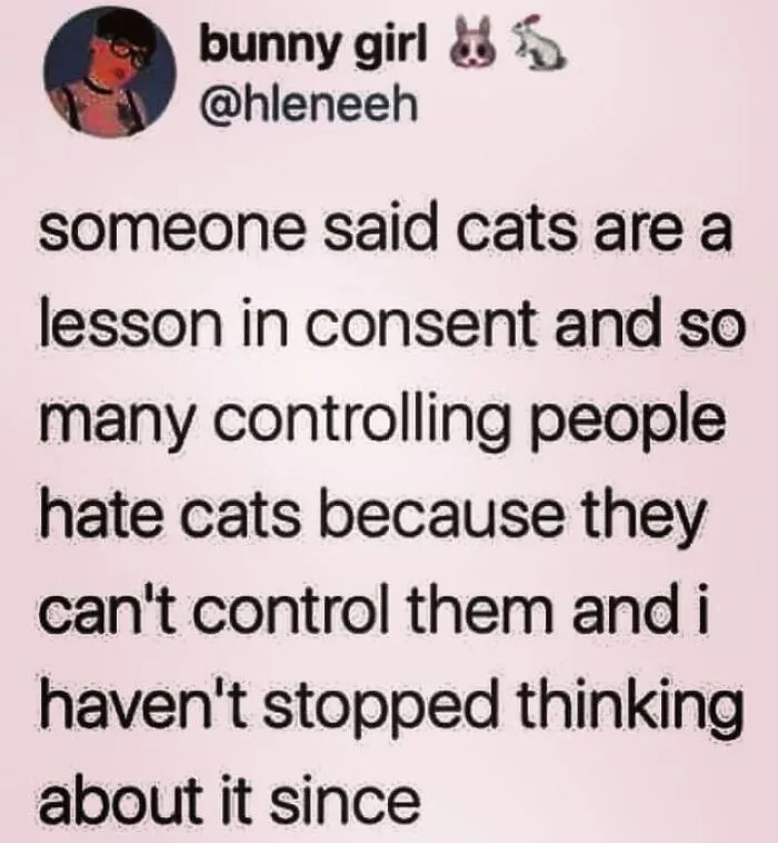 "Meow Incorporated": 50 Perfectly Accurate Memes That Capture What It’s Like Living With Cats