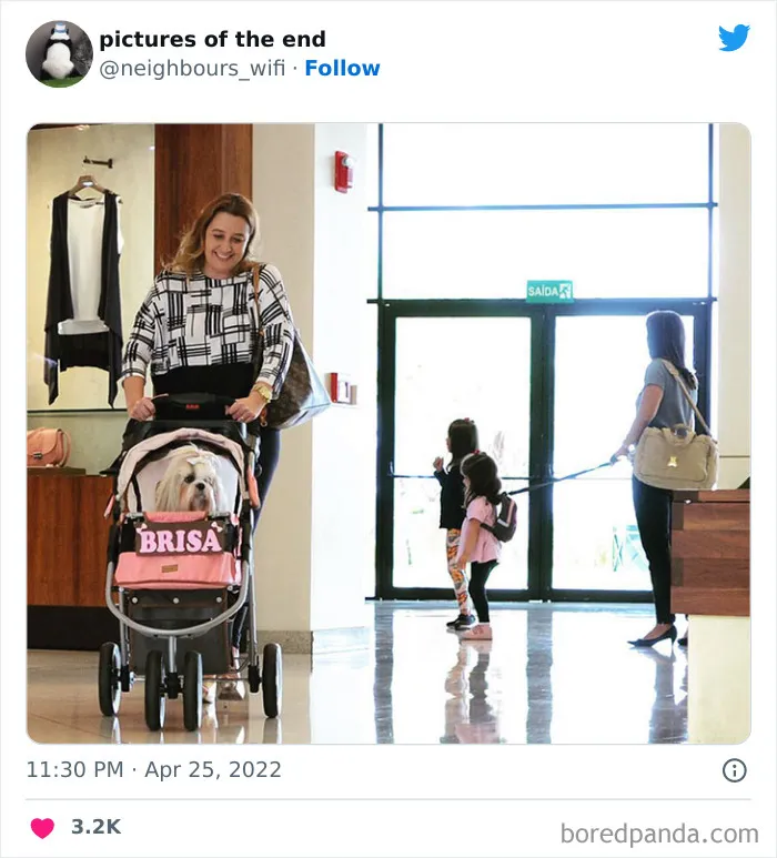 50 Funny And Bizarre Photos Shared On The "Pictures Of The End" Twitter Page (New Pics)