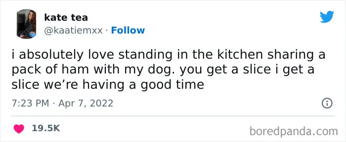 50 'Tastefully Offensive' Tweets That Are Surprisingly Relatable (New Posts)