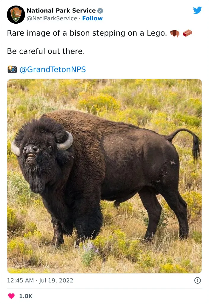 National Park Service Hired The Perfect Social Media Person As Their Tweets Are Hilarious So Here Are 34 Of The Best Ones