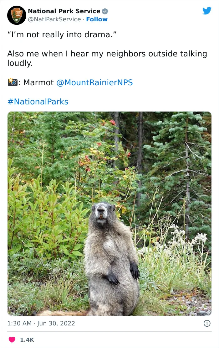 National Park Service Hired The Perfect Social Media Person As Their Tweets Are Hilarious So Here Are 34 Of The Best Ones