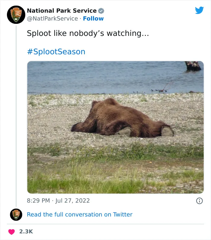 National Park Service Hired The Perfect Social Media Person As Their Tweets Are Hilarious So Here Are 34 Of The Best Ones