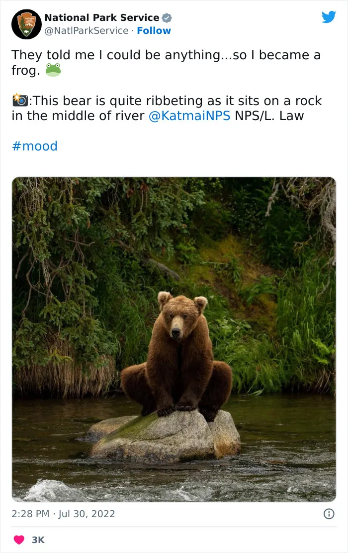 National Park Service Hired The Perfect Social Media Person As Their Tweets Are Hilarious So Here Are 34 Of The Best Ones