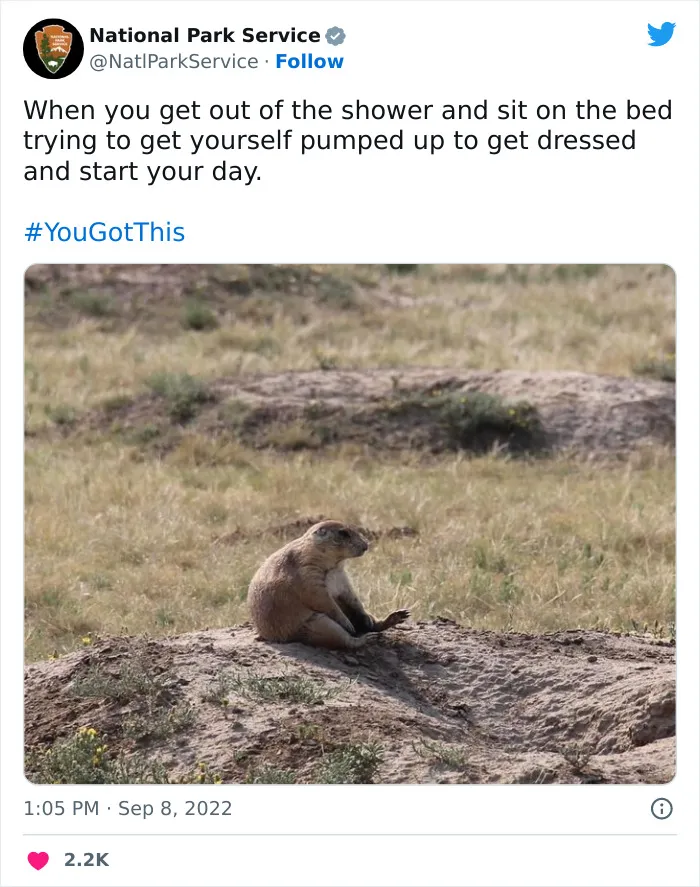 National Park Service Hired The Perfect Social Media Person As Their Tweets Are Hilarious So Here Are 34 Of The Best Ones