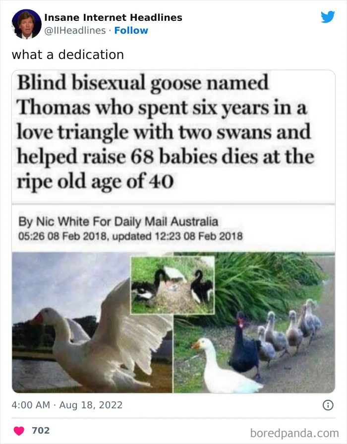 50 Loony Headlines That May Make You Laugh Out Loud, As Shared By This Twitter Page