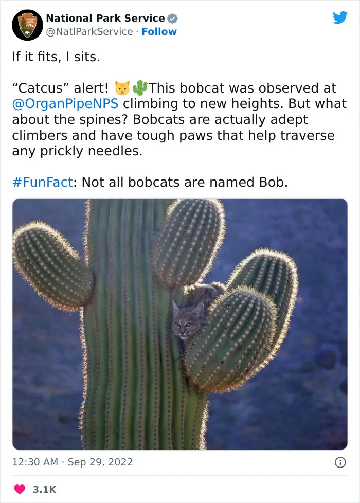 National Park Service Hired The Perfect Social Media Person As Their Tweets Are Hilarious So Here Are 34 Of The Best Ones