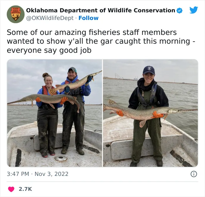 40 Tweets From The Official Oklahoma Department Of Wildlife Conservation That Might Make You Laugh