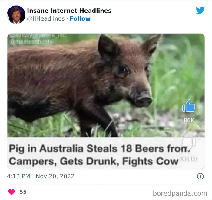 50 Loony Headlines That May Make You Laugh Out Loud, As Shared By This Twitter Page