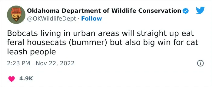 40 Tweets From The Official Oklahoma Department Of Wildlife Conservation That Might Make You Laugh