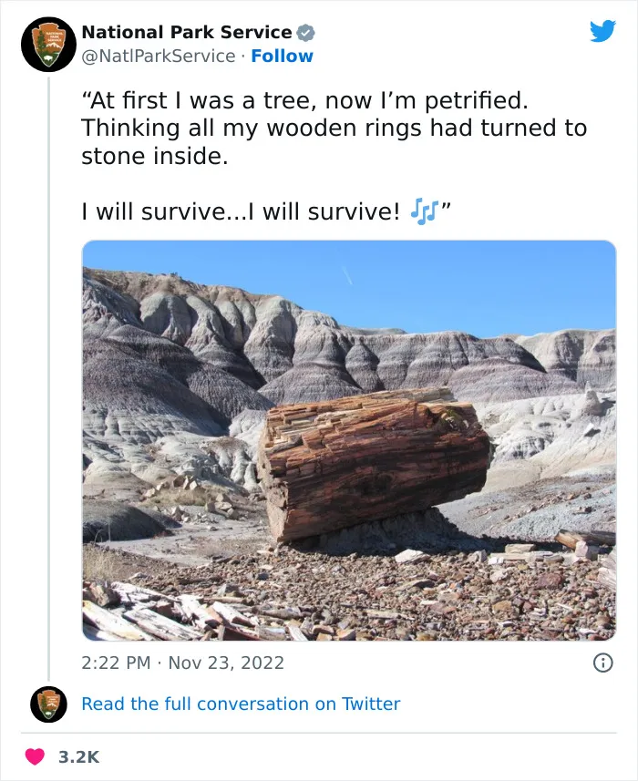 National Park Service Hired The Perfect Social Media Person As Their Tweets Are Hilarious So Here Are 34 Of The Best Ones