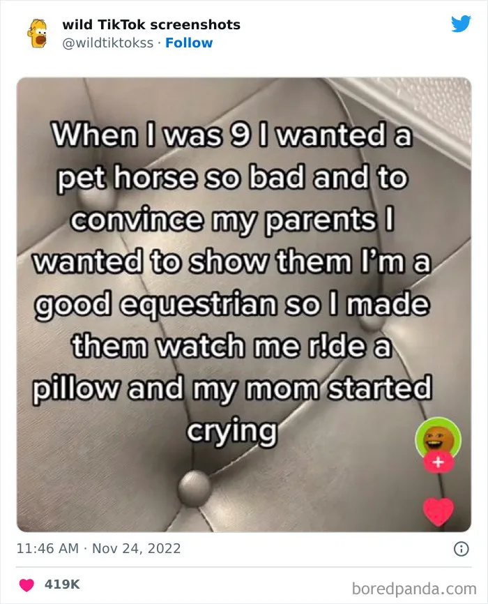 35 Unbelievable Posts On The ‘Wild TikTok Screenshots’ Twitter Page To Make You Question Everything (New Pics)