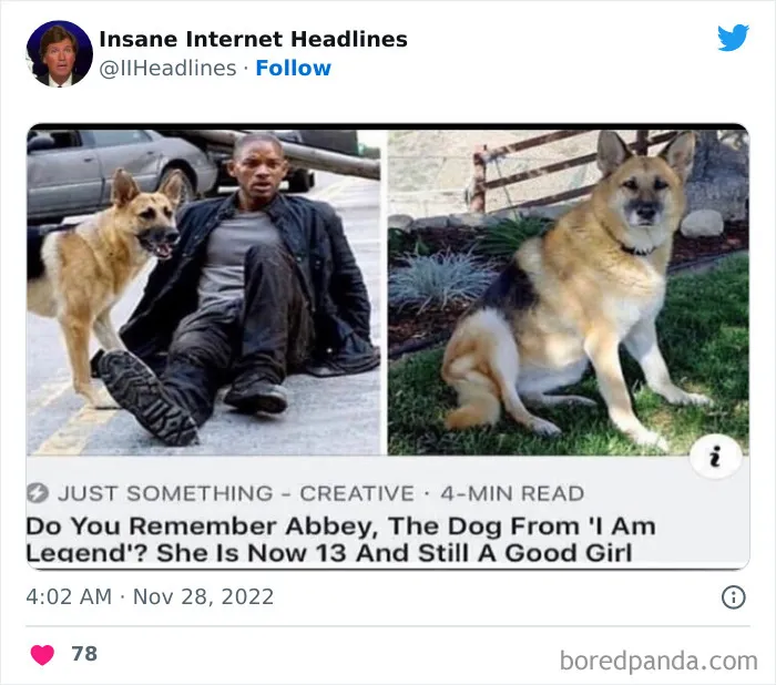 50 Loony Headlines That May Make You Laugh Out Loud, As Shared By This Twitter Page