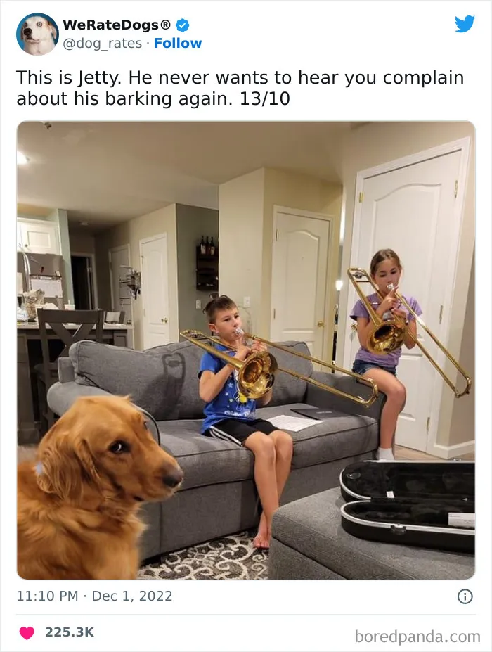 The “We Rate Dogs” Twitter Account With 9M Followers Rates People’s Dogs, And It’s As Hilarious As It Is Wholesome (50 New Pics)