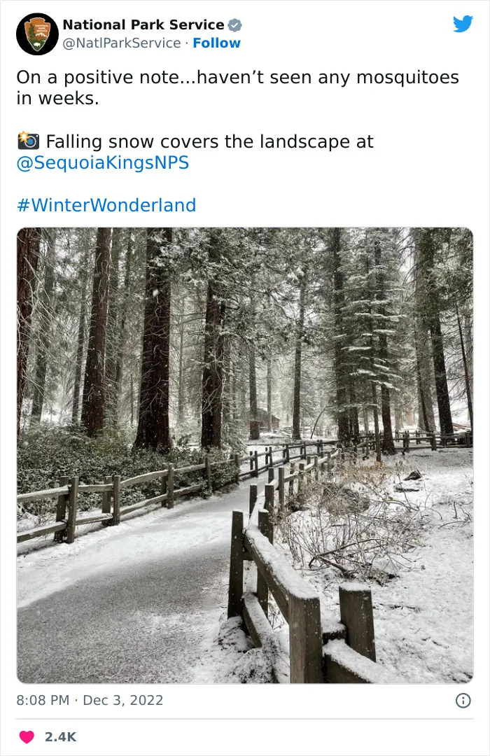 National Park Service Hired The Perfect Social Media Person As Their Tweets Are Hilarious So Here Are 34 Of The Best Ones