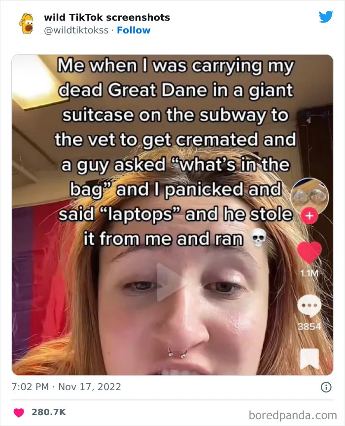 35 Unbelievable Posts On The ‘Wild TikTok Screenshots’ Twitter Page To Make You Question Everything (New Pics)