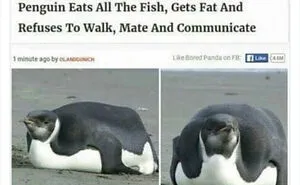50 Loony Headlines That May Make You Laugh Out Loud, As Shared By This Twitter Page
