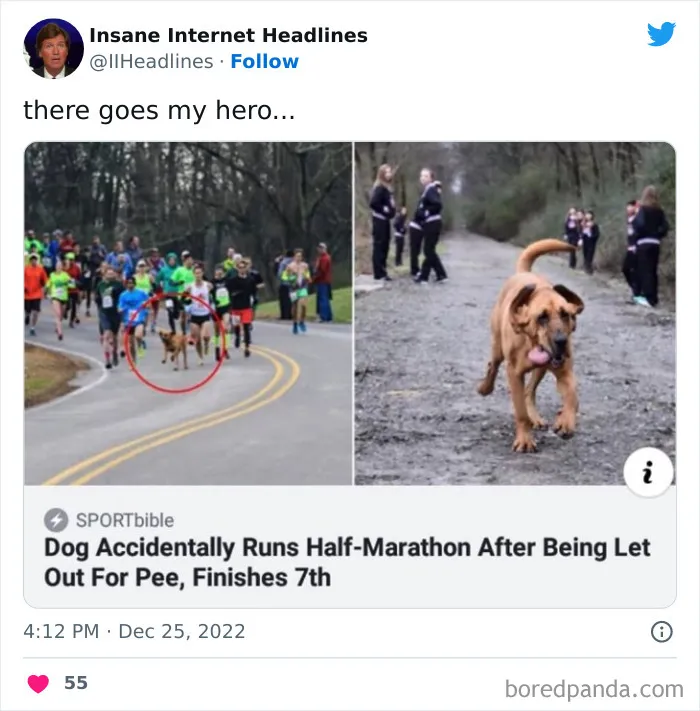 50 Loony Headlines That May Make You Laugh Out Loud, As Shared By This Twitter Page