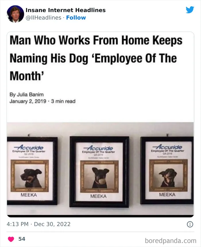 50 Loony Headlines That May Make You Laugh Out Loud, As Shared By This Twitter Page