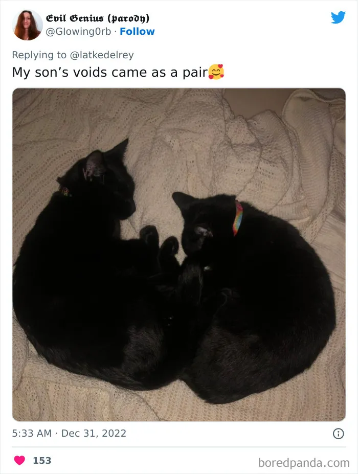 A Wholesome Twitter Thread Proves Why You Should Always Adopt Cats In Pairs (40 Pics)