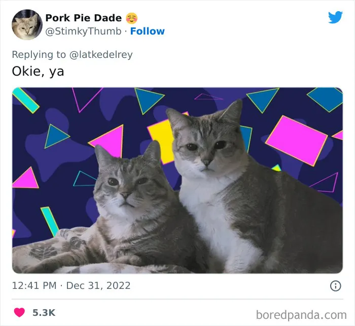 A Wholesome Twitter Thread Proves Why You Should Always Adopt Cats In Pairs (40 Pics)