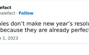 115 Comical Tweets Making Fun Of New Year’s Resolutions