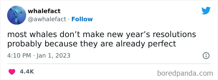 New-Year-Resolution-Tweets