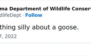 40 Tweets From The Official Oklahoma Department Of Wildlife Conservation That Might Make You Laugh