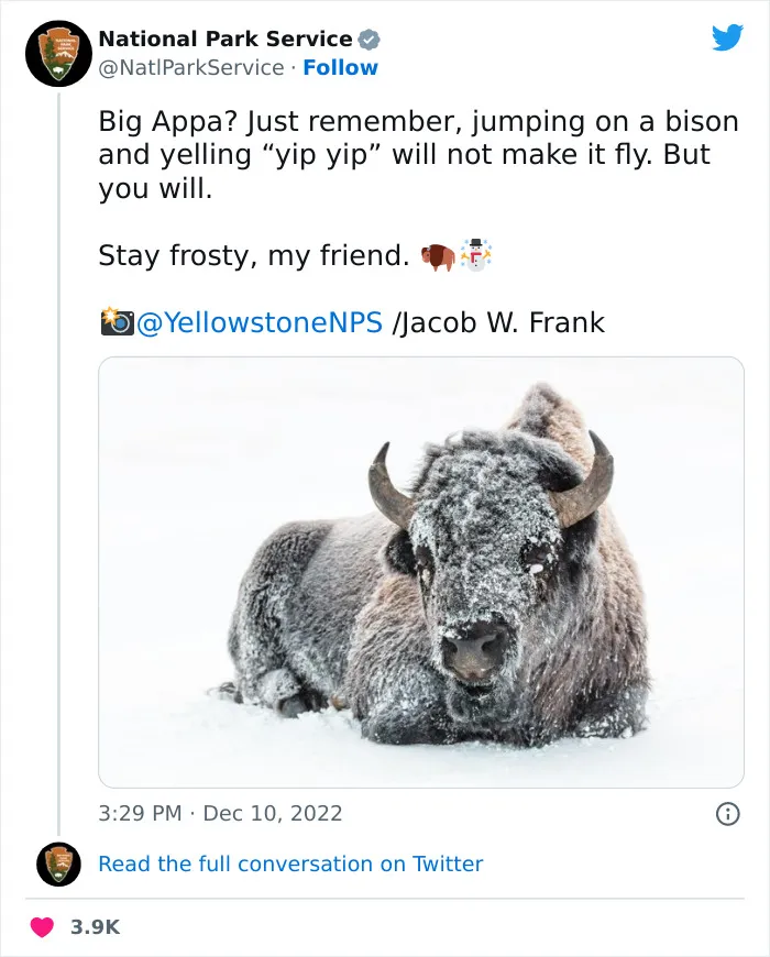 National Park Service Hired The Perfect Social Media Person As Their Tweets Are Hilarious So Here Are 34 Of The Best Ones