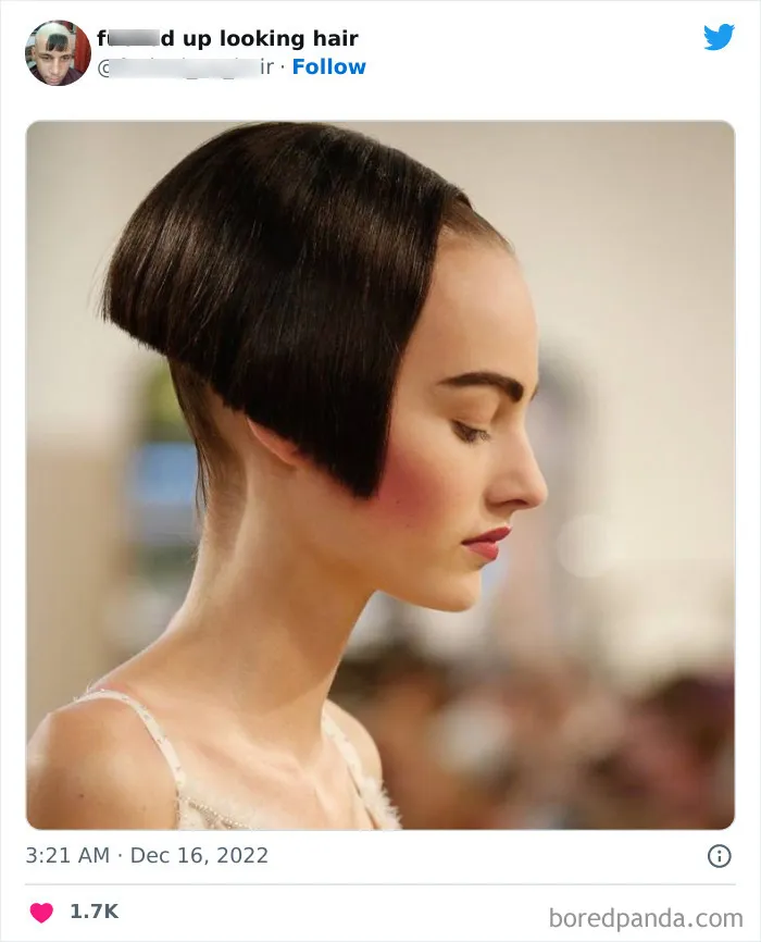 This Twitter Page Shares Photos Of ‘Effed Up Looking Hair’, And Here Are 40 Of The Most Hilarious Pics