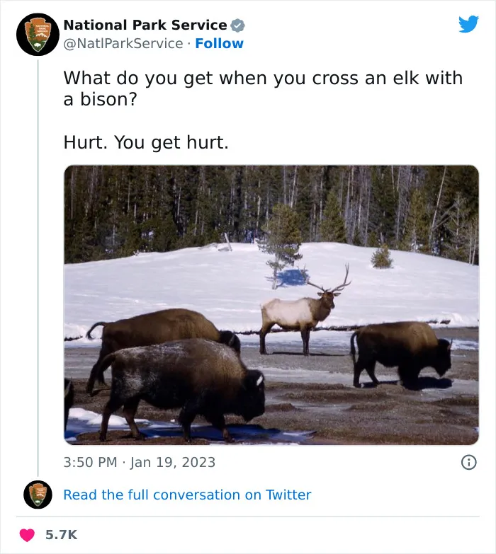 National Park Service Hired The Perfect Social Media Person As Their Tweets Are Hilarious So Here Are 34 Of The Best Ones