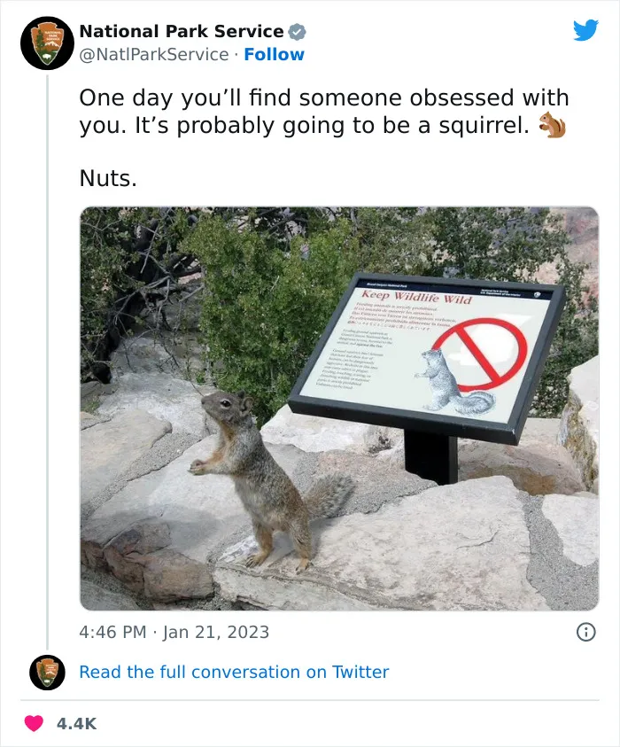 National Park Service Hired The Perfect Social Media Person As Their Tweets Are Hilarious So Here Are 34 Of The Best Ones