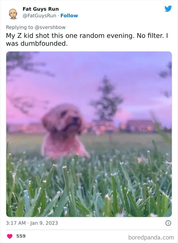 32 Pics To Prove That You Should Probably Ask A Gen Zer To Take Your Pics For You