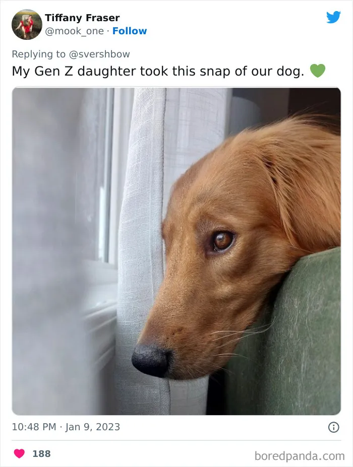 32 Pics To Prove That You Should Probably Ask A Gen Zer To Take Your Pics For You