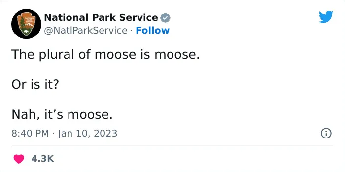 National Park Service Hired The Perfect Social Media Person As Their Tweets Are Hilarious So Here Are 34 Of The Best Ones