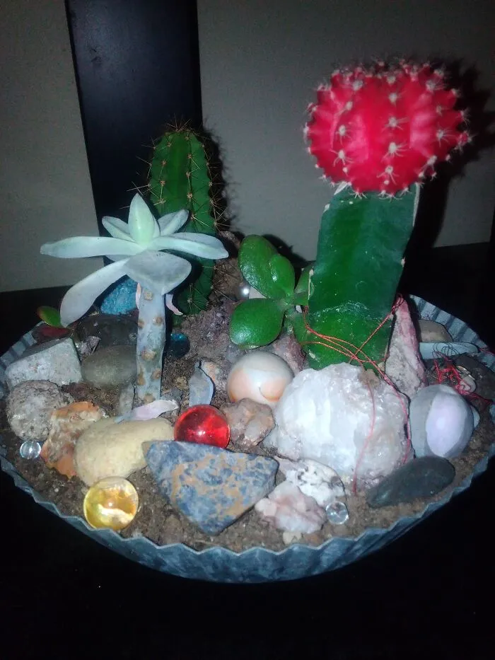 My Mini Rock And Marble Garden
