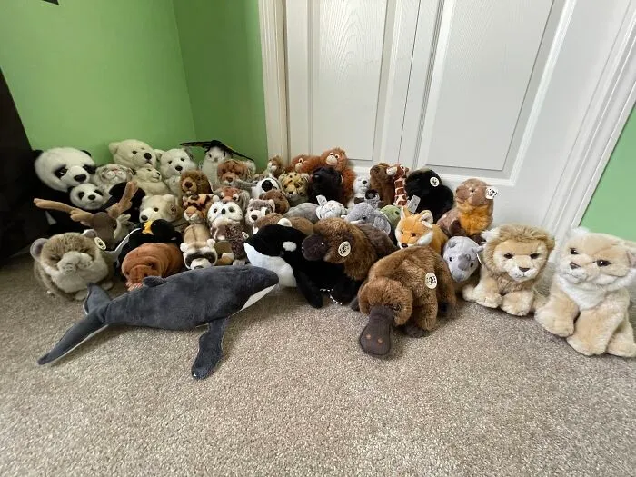 The Wwf Family