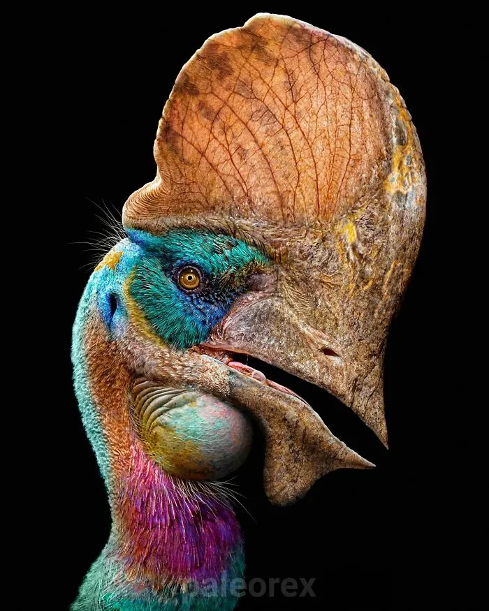 Tapejara