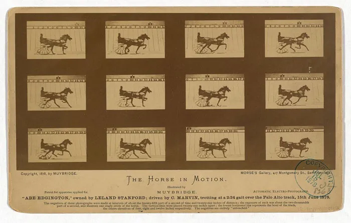 First Photograph Of Motion (1878)