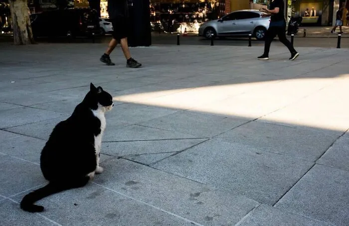 30 Excelentes fotografías tomadas en la calle o en lugares públicos compartidas online