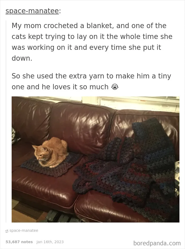 "Meow Incorporated": 50 Perfectly Accurate Memes That Capture What It’s Like Living With Cats