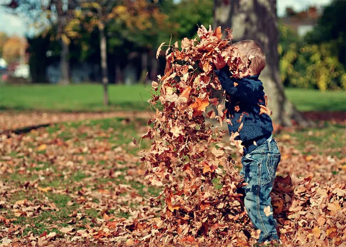 20 Respuestas perfectamente contundentes en este hilo resumiendo lo peor de ser padres