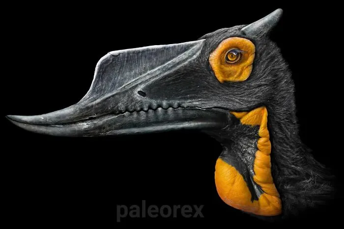 Dsungaripterus