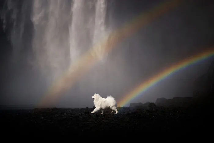 Somewhere Over The Rainbow - Beautiful Húgó