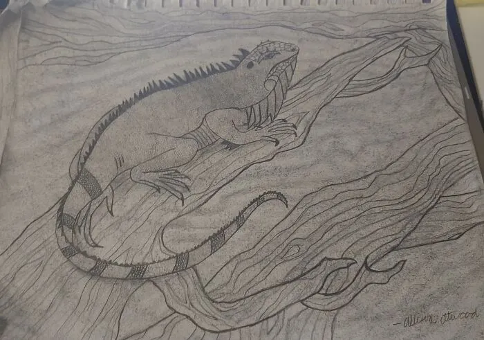 Did This When I Was 13. I Could Probably Do Much Better Now. :)