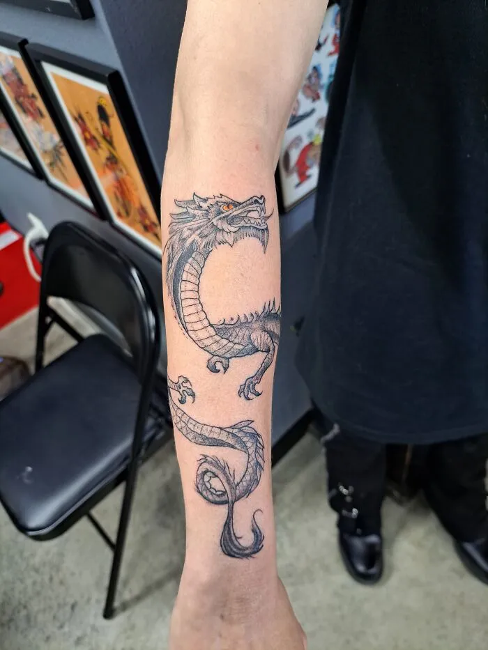 I Named This Dragon Draco Mortuus Vos Liberatio (Thou Shall Free The Dead Dragon)