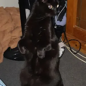 Mickysixxx