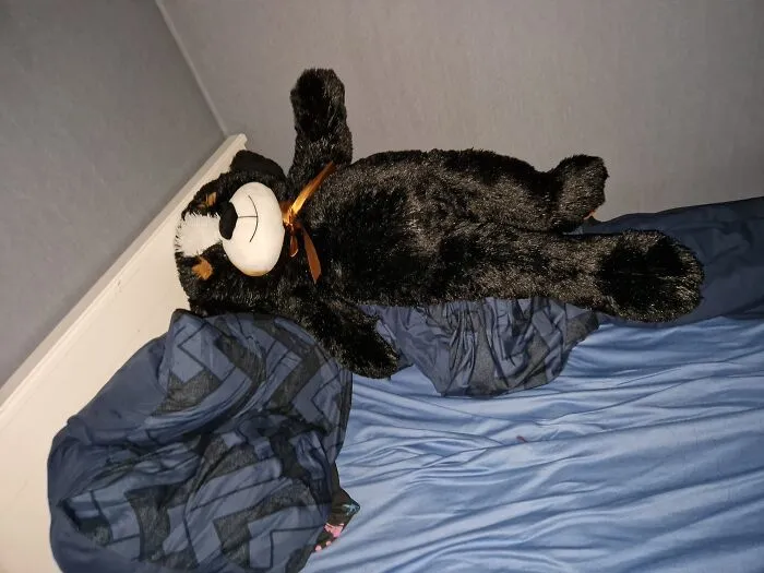 He Was About 10 Bucks (Sale) And I Need To Hug Something When I Sleep So He Was Perfect! Largest Plushie In My Collection